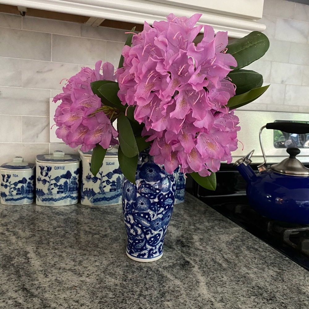 Meet your Posher, Jane